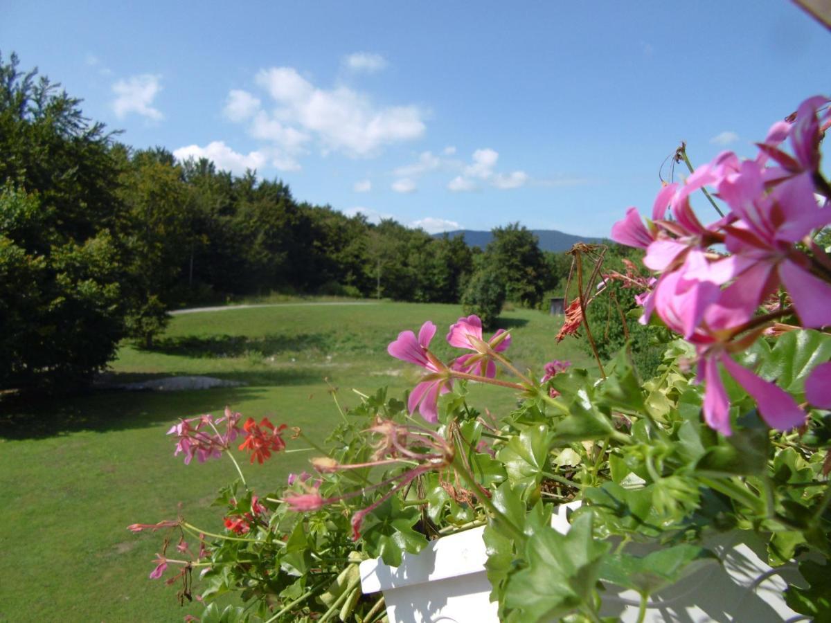 House Biba & Leona Bed & Breakfast Rastovaca Exterior photo